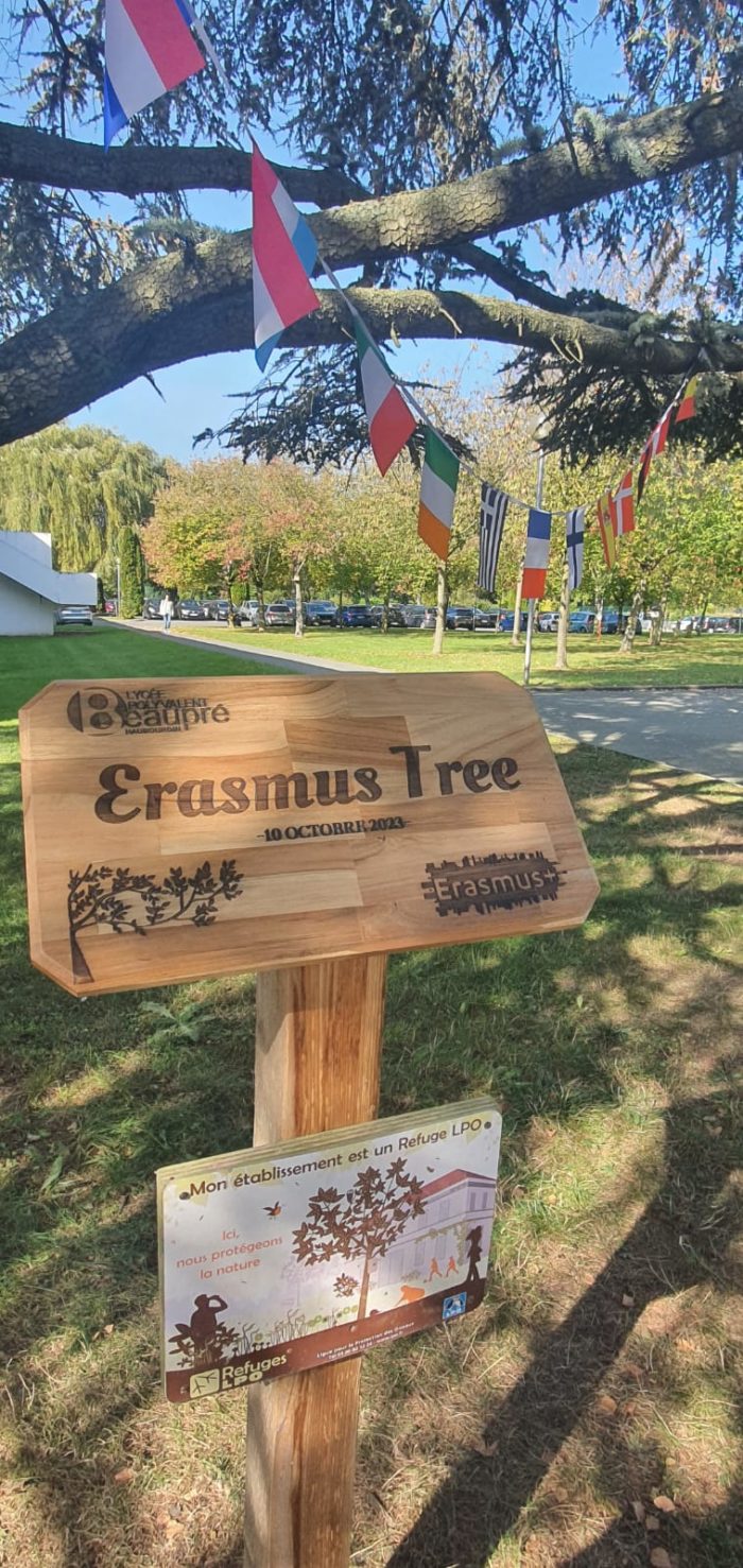 LPO Beaupré – Erasmus Tree(1)